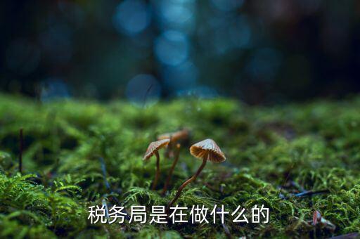 稅務(wù)總局是做什么的，稅務(wù)局是在做什么的
