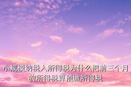 為什么會有預(yù)繳所得稅，我企業(yè)是今年1月被稅局核定按收入繳納企業(yè)所得稅 為什么第一季度報(bào)
