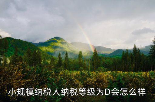 納稅等級d級有什么影響，納稅信用d級 對股權關聯(lián)法人不同的總子公司有影響嗎
