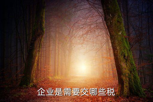 公司要交什么稅，企業(yè)是需要交哪些稅