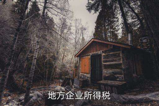 地方企業(yè)所得稅是什么，地方所得稅