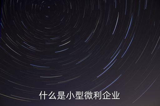 什么是小型微利，什么是小型微利企業(yè)收入從業(yè)人員其它條件