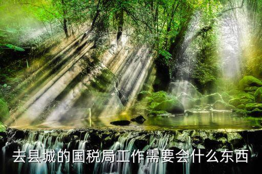 國家稅務局都要會什么，稅務局工作需要點什么