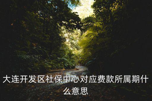 社保所屬期是什么意思，大連開發(fā)區(qū)社保中心對應(yīng)費款所屬期什么意思