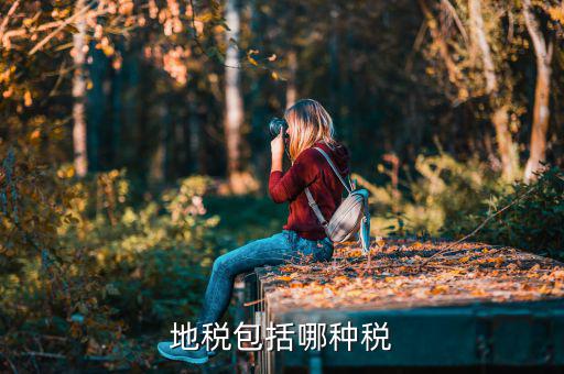 地稅現(xiàn)在還有什么稅種，地稅包括哪些稅種