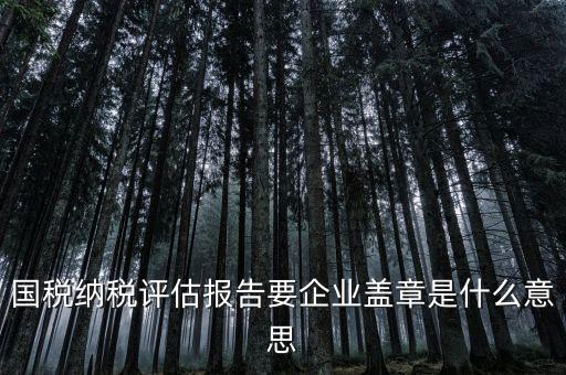 稅務(wù)國別報告是什么意思，國稅納稅評估報告要企業(yè)蓋章是什么意思