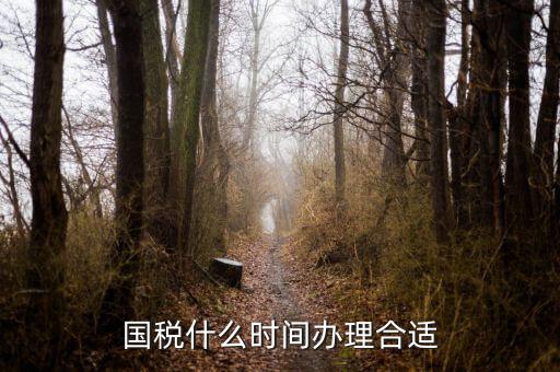 國稅局申請(qǐng)什么時(shí)候好，國稅什么時(shí)間辦理合適