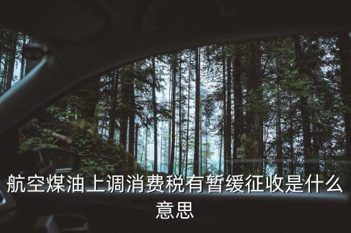 暫緩征收消費稅是什么，航空煤油上調(diào)消費稅有暫緩征收是什么意思