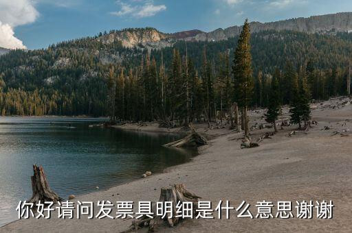 什么是個(gè)稅明細(xì)，個(gè)稅是什么是干嘛的詳細(xì)點(diǎn)哈