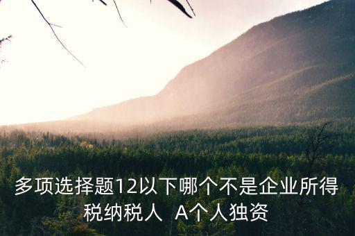 什么納稅人，多項選擇題12以下哪個不是企業(yè)所得稅納稅人  A個人獨資