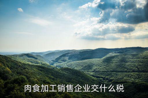賣肉類交什么地稅，批發(fā)肉類的稅是多少