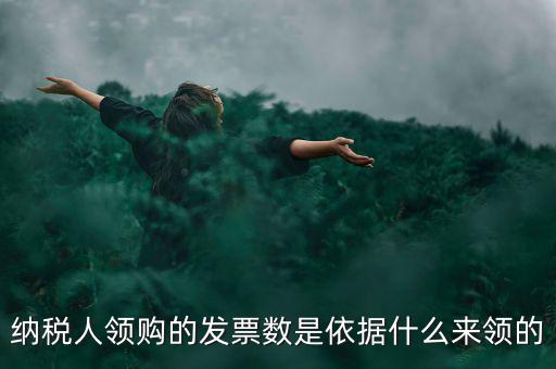 為什么領(lǐng)票人是納稅人，發(fā)票領(lǐng)購(gòu)簿上的章子與納稅人名稱不一樣是怎么回事