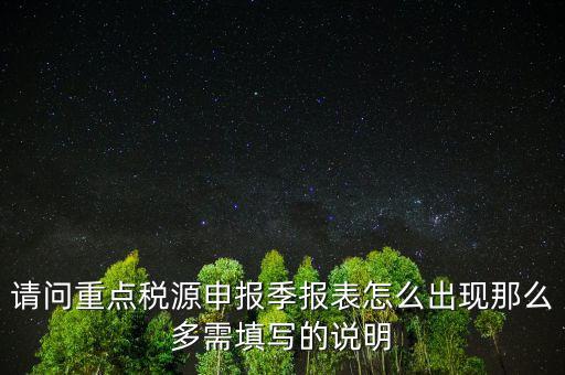 重點(diǎn)稅源申報(bào)要填什么，重點(diǎn)稅源申報(bào)表怎樣填