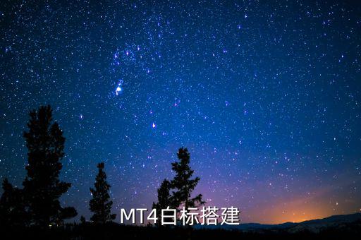 稅務(wù)系統(tǒng)為什么進行容災(zāi)建設(shè)，小微企業(yè)該購買什么樣的服務(wù)器涉及生產(chǎn)倉儲銷售和財務(wù)等  搜