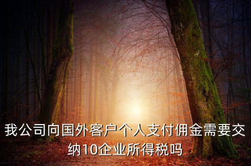 我公司向國(guó)外客戶(hù)個(gè)人支付傭金需要交納10企業(yè)所得稅嗎