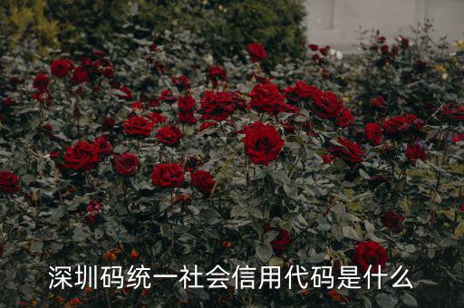 統(tǒng)一社會(huì)信用代碼指什么影響，深圳碼統(tǒng)一社會(huì)信用代碼是什么
