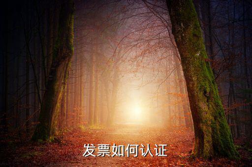 發(fā)票通過什么認證，關于發(fā)票認證哪些發(fā)票需要認證