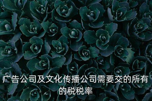 廣告公司需要交什么稅，廣告公司及文化傳播公司需要交的所有的稅稅率