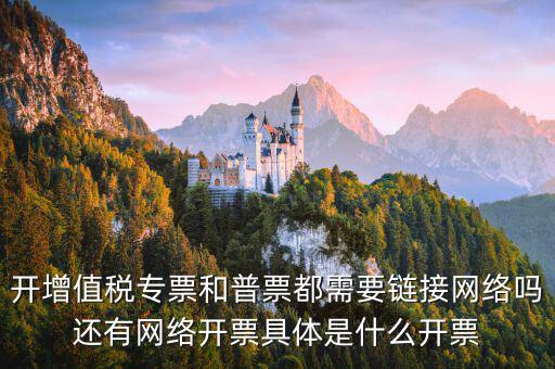 開(kāi)增值稅專(zhuān)票和普票都需要鏈接網(wǎng)絡(luò)嗎還有網(wǎng)絡(luò)開(kāi)票具體是什么開(kāi)票