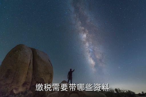 稅務(wù)局交稅都帶什么資料，去稅務(wù)局申報納稅要帶什么資料 新手