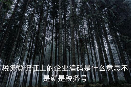 稅務(wù)編碼是什么意思，稅務(wù)登記證上的企業(yè)編碼是什么意思不是就是稅務(wù)號(hào)