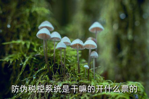 什么是稅控系統(tǒng)數(shù)據(jù)，金稅盤是什么