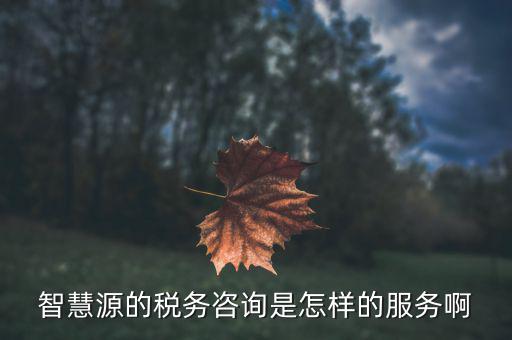 為什么叫智慧稅務(wù)呢，在聚會上聽說智慧源的稅務(wù)服務(wù)很好為什么啊