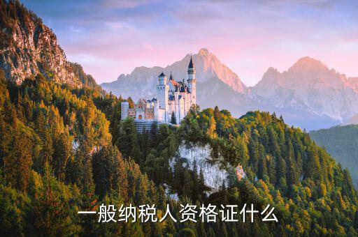 什么是一般納稅人證明，一般納稅人資格證什么