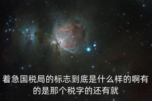 稅優(yōu)識別碼是什么樣的，納稅人辨認(rèn)號和代碼是1樣的