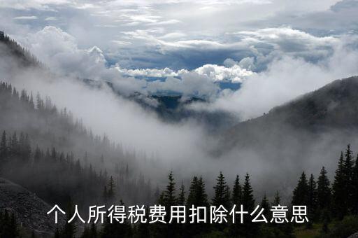 稅收扣除是什么，個(gè)人所得稅費(fèi)用扣除什么意思