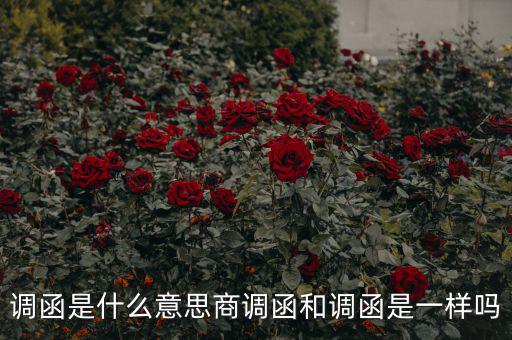 國稅調(diào)函是什么意思，國稅要來函條是怎么回事啊