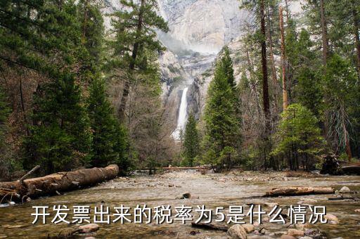 什么發(fā)票上稅5，買新房發(fā)票口5個點(diǎn)的稅是什么稅