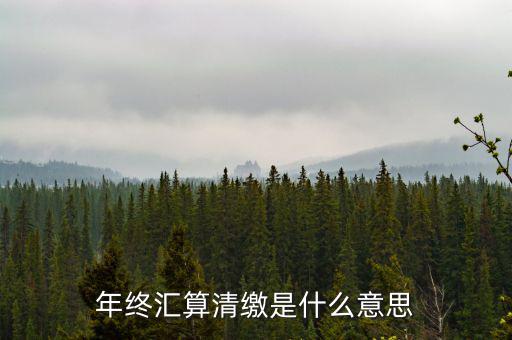 什么是企業(yè)匯算清繳，為什么年底要進行企業(yè)所得匯算清繳