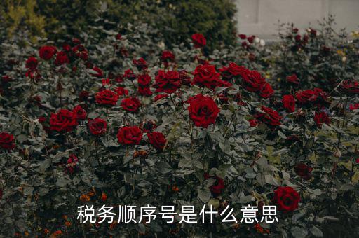 成都稅務(wù)號(hào)是什么意思，四川省國(guó)稅編號(hào)開(kāi)頭幾位數(shù)是什么