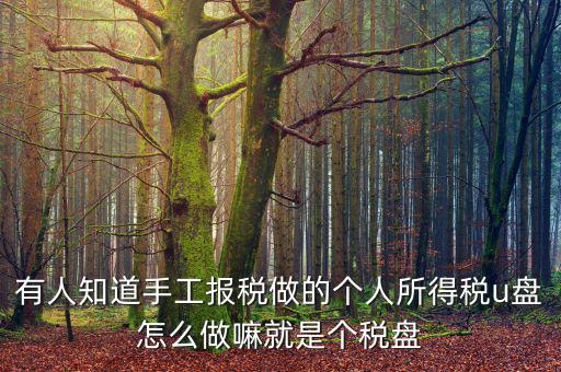 繳個(gè)稅用什么盤申報(bào)，個(gè)人所得稅報(bào)盤怎么弄