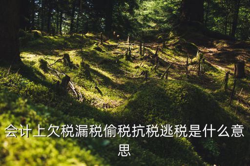 欠繳稅額是什么意思，增值稅申報表第26欄實收出口開具專用繳款書退稅額指的是什么