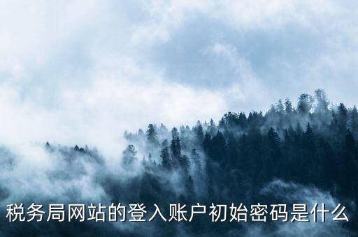 國稅網(wǎng)上登陸密碼是什么，稅務(wù)局網(wǎng)站的登入賬戶初始密碼是什么
