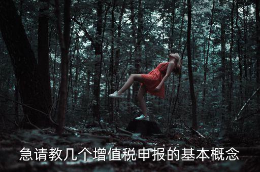 增值稅申報(bào)是什么意思，增值稅申報(bào)什么意思
