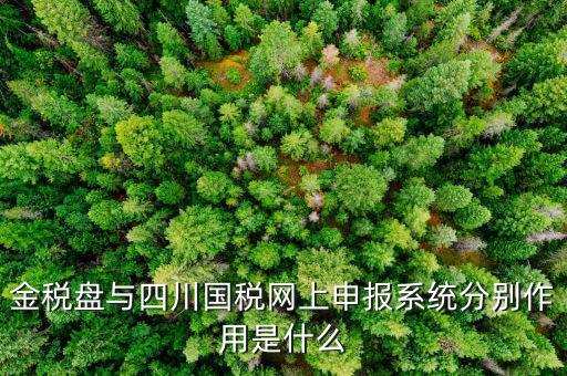 金稅盤(pán)的作用是什么，請(qǐng)問(wèn)現(xiàn)在國(guó)稅局換的金稅盤(pán)主要的作用是什么