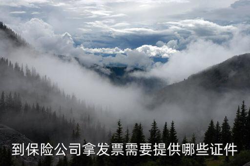 保險開專票需要什么資料，中國人壽保險打發(fā)票要什么手續(xù)