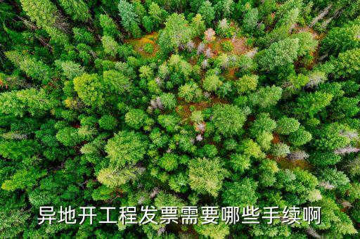 外地項(xiàng)目開票需要什么手續(xù)，在外地開票需要什么手續(xù)