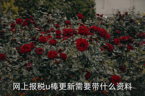 稅務(wù)u棒長什么樣，網(wǎng)上報稅u棒更新需要帶什么資料