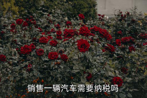 銷售汽車征收什么稅，銷售一輛汽車需要納稅嗎