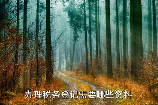 進行稅務(wù)登記需要什么資料，公司稅務(wù)登記如何辦理 需要啥材料