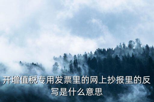 開票系統(tǒng)反寫是什么意思，開增值稅專用發(fā)票里的網(wǎng)上抄報(bào)里的反寫是什么意思