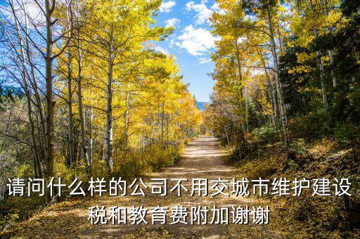 什么情況不交城建稅，什么時候不需要交納營業(yè)稅城建稅及附加