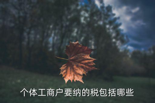 個(gè)體需要繳納什么稅，個(gè)體工商戶需要交哪些稅