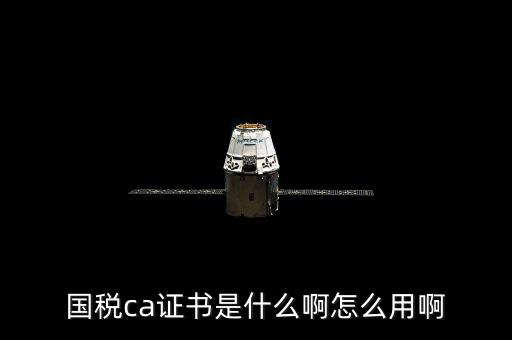 國稅的ca證書是什么意思，CA證書是什么東西包括pfx cert么