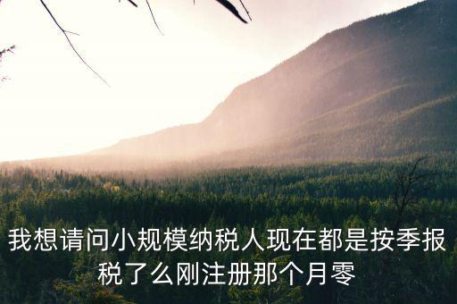 我想請問小規(guī)模納稅人現(xiàn)在都是按季報(bào)稅了么剛注冊那個(gè)月零