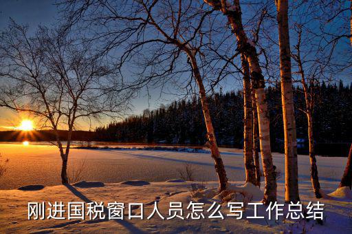 剛進國稅窗口人員怎么寫工作總結(jié)